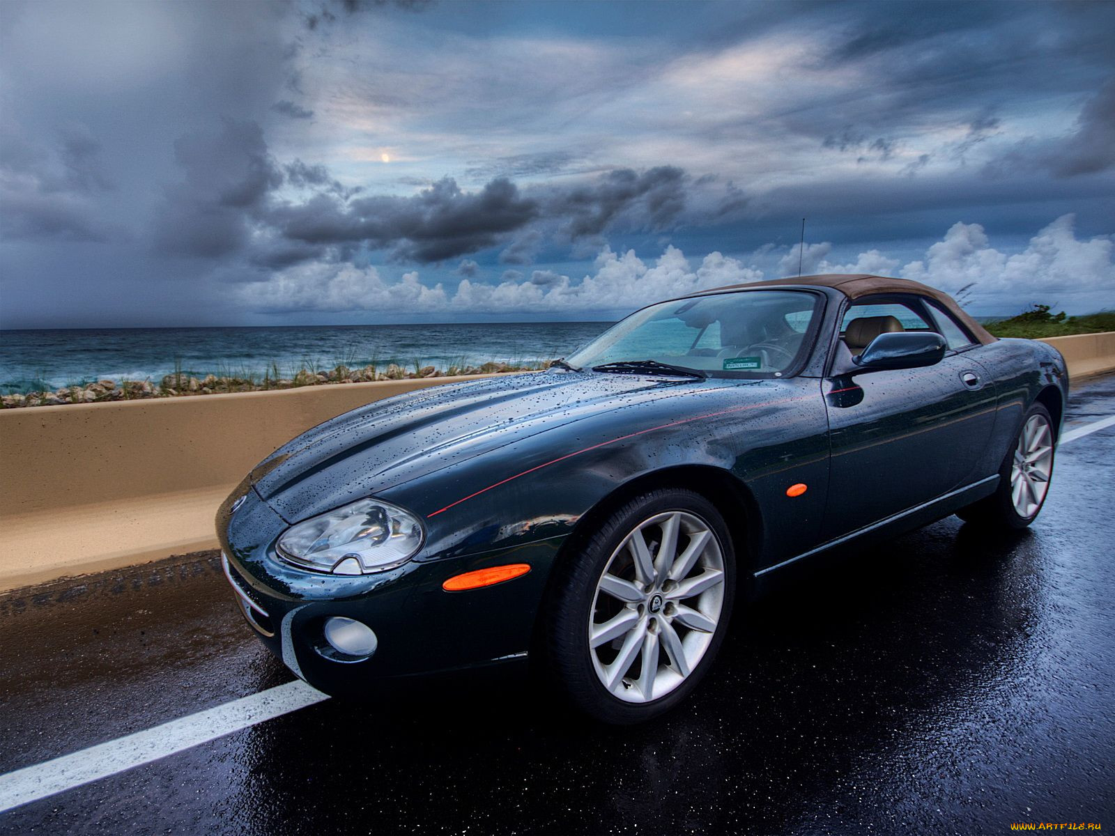 , jaguar